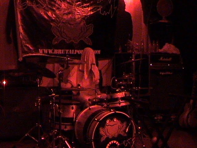 Brutal Polka © Ze Sikret Skvirel (ZASPH!)